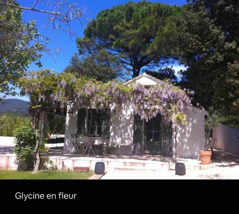 Bastidon Farfallina Puyvert Extérieur photo